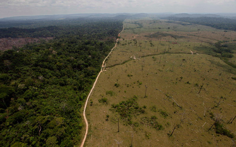 A deforested area near Novo Progresso in Brazil’s northern state of Para in 2009. AP Images